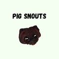 Pig Snout