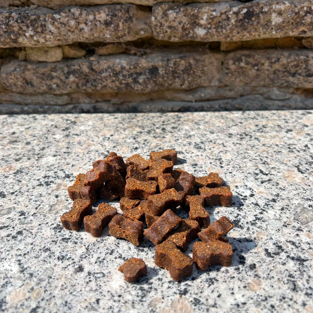 Salmon Training Bones