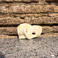 Puffed Pig Snout - Large