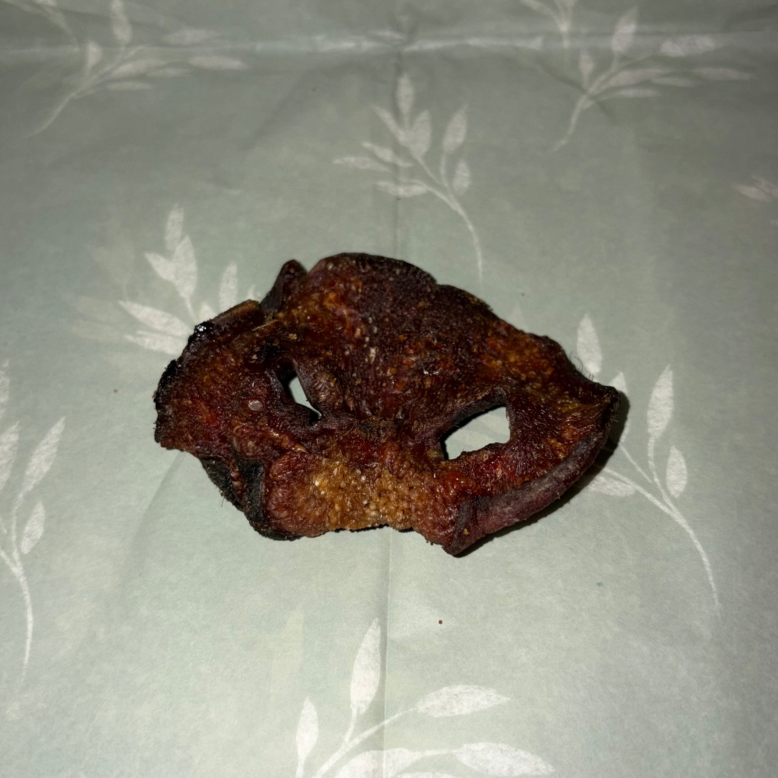 Pig Snout
