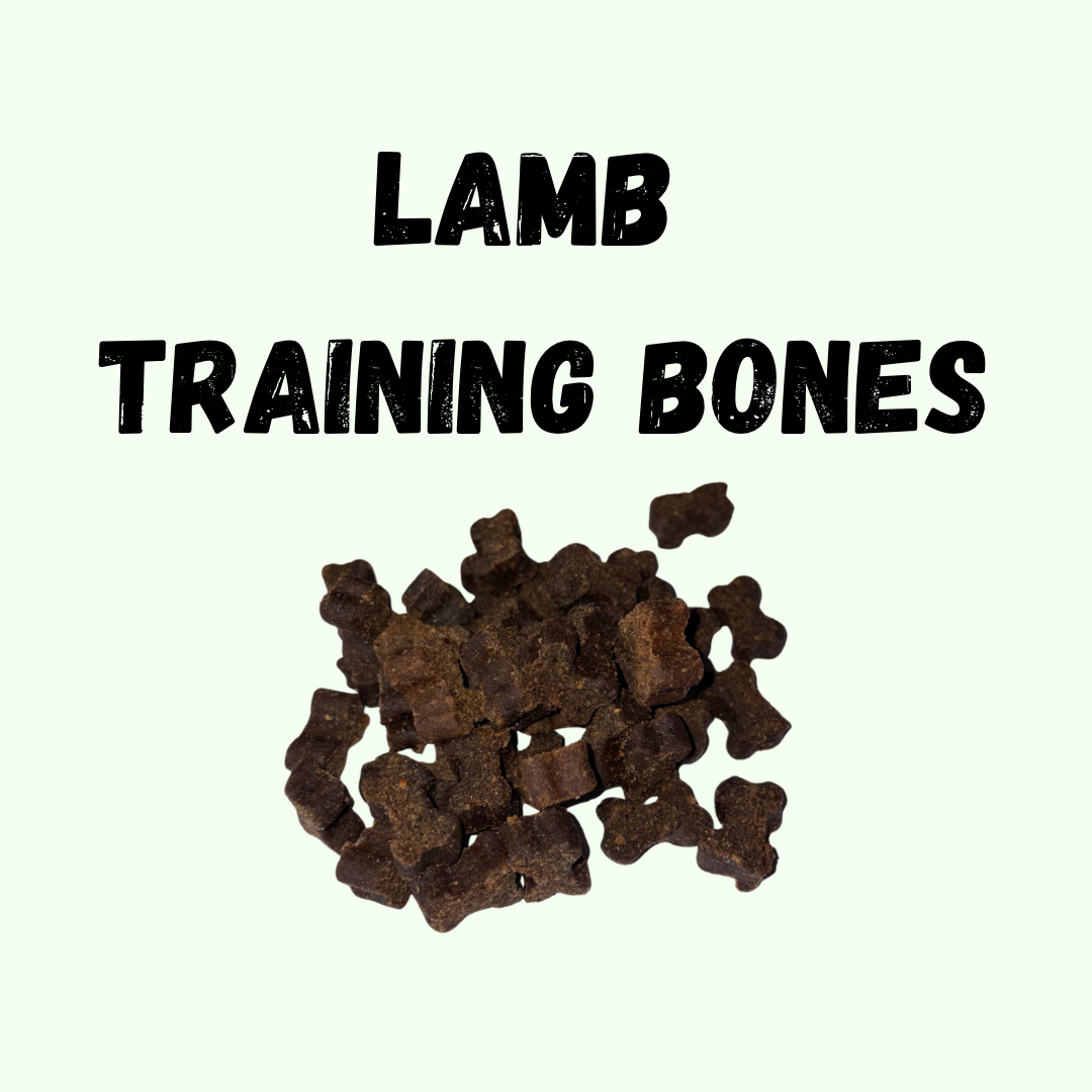 Lamb Training Bones