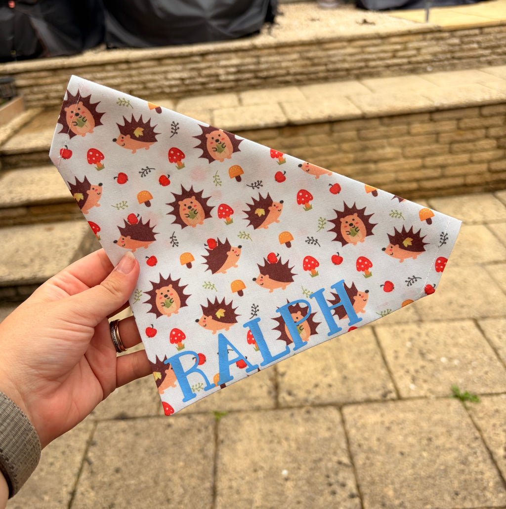 Hedgehog Print Bandana