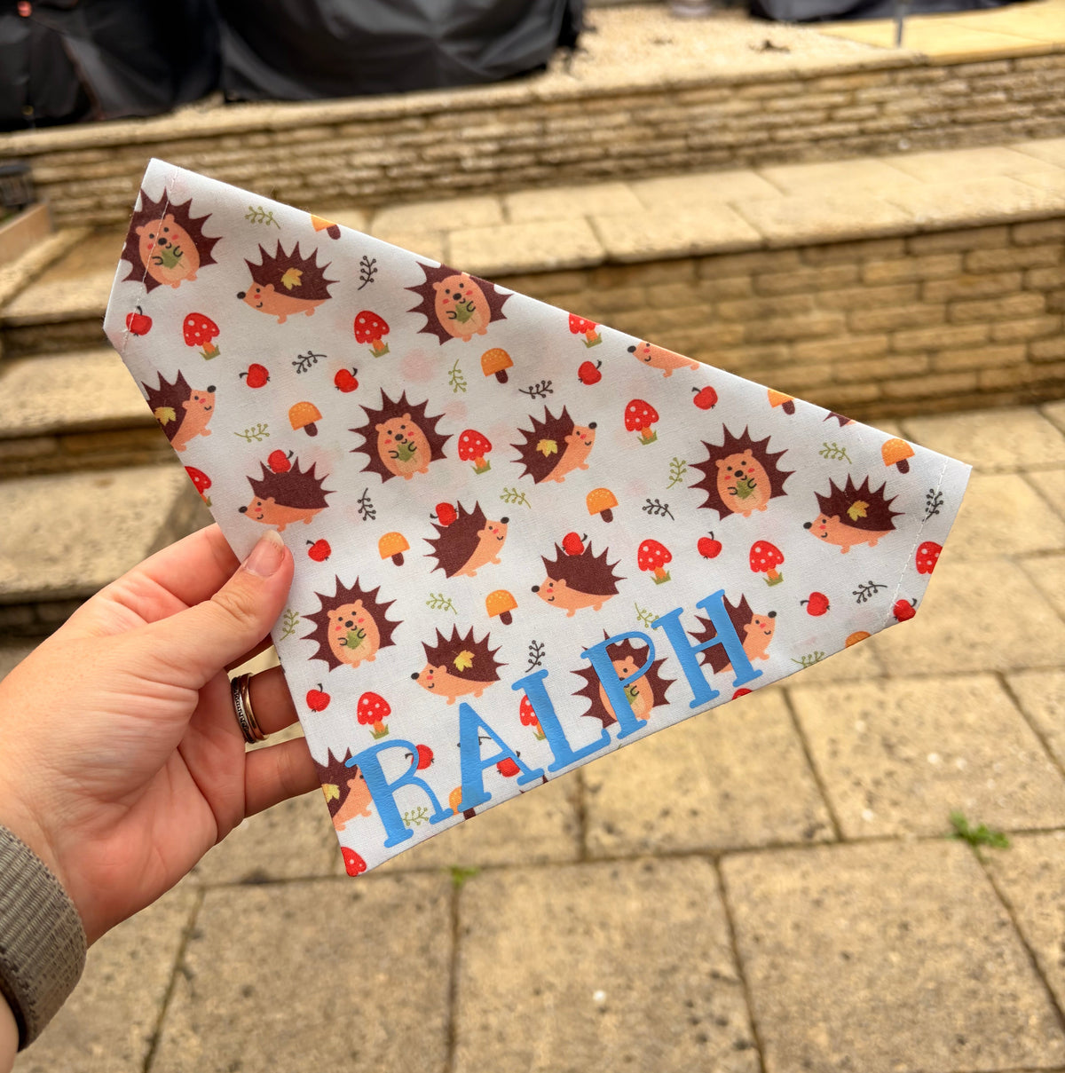 Hedgehog Print Bandana