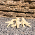 Puffed Chicken Feet