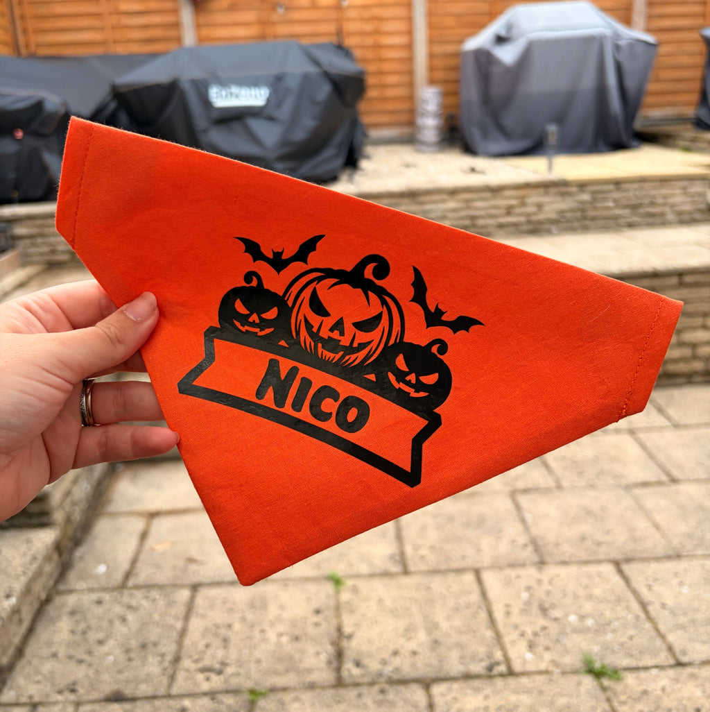 Halloween Pumpkin & Bat Bandana