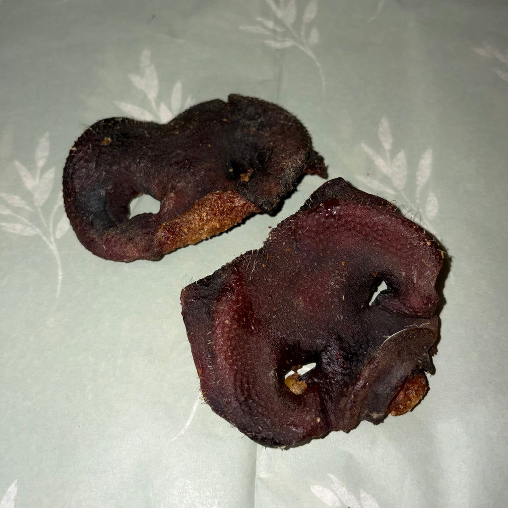 Pig Snout