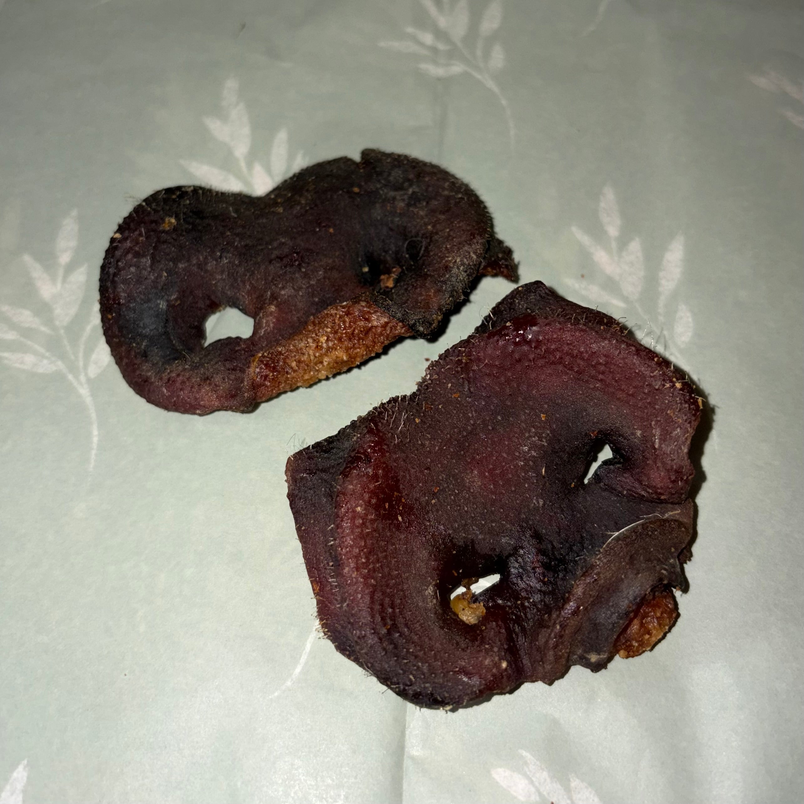 Pig Snout