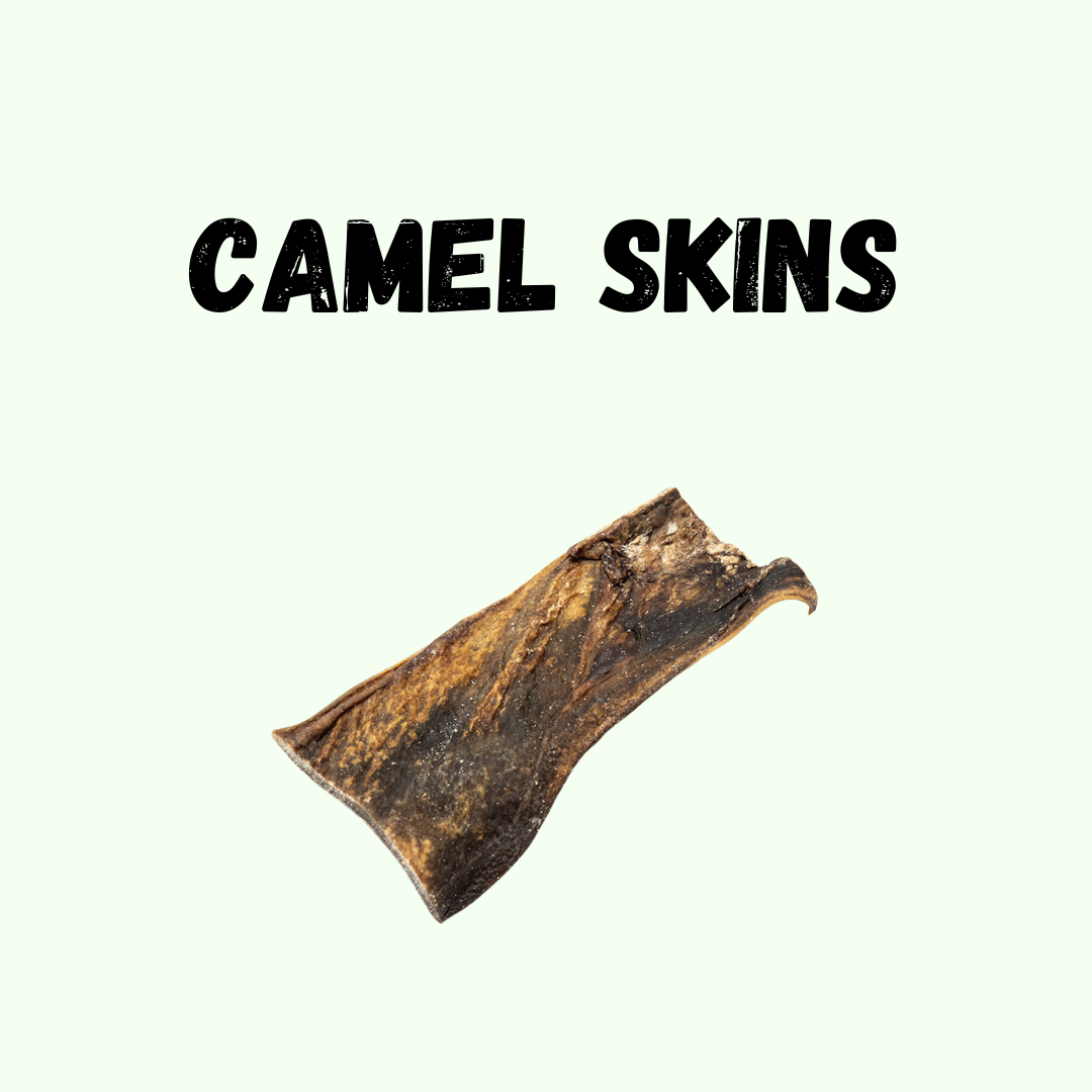 Camel Skins