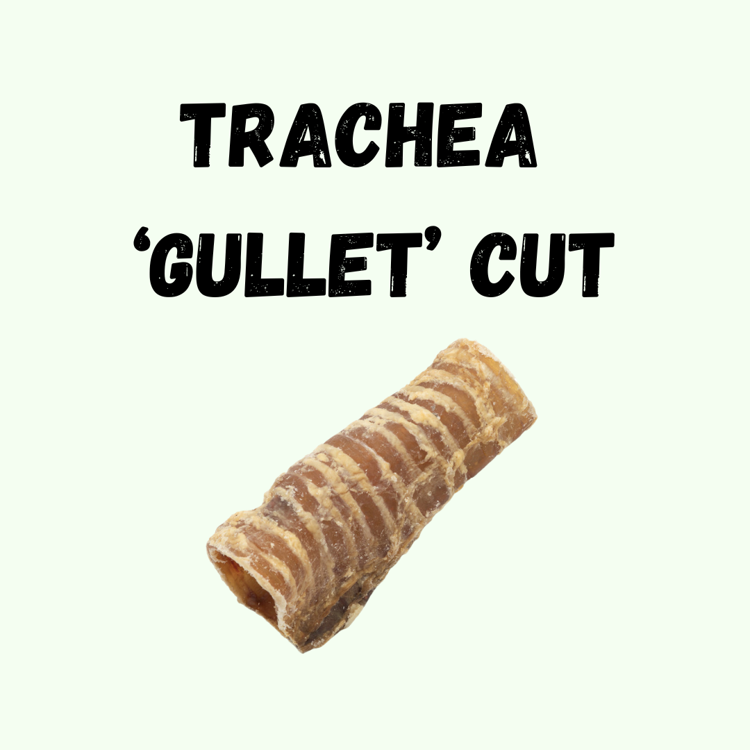 Trachea 'Gullet' Cut